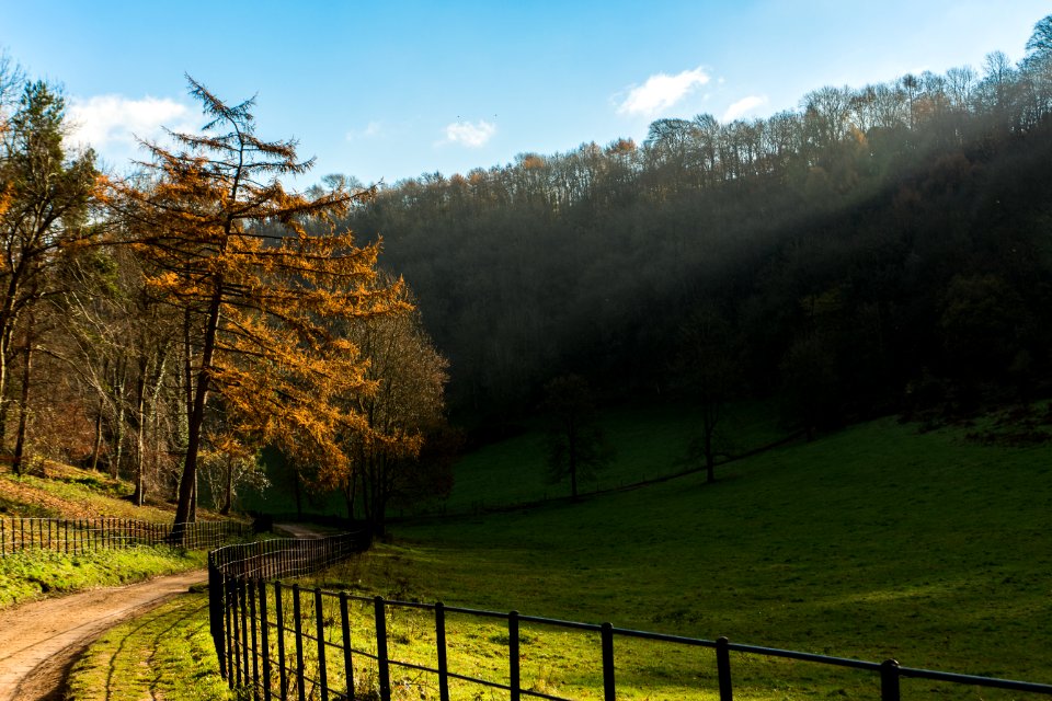 National trust woodchester park, Stonehouse, United kingdom photo