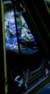 Hatfield, United kingdom, Blue