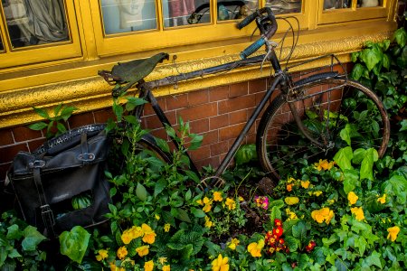 London, United kingdom, Oned bike