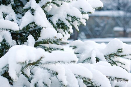 Snowdrift snowflake christmas tree