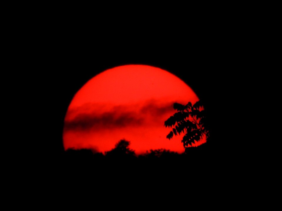Moonlight, Blood moon, Full moon