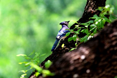 Austin, United states, Resting
