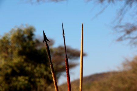 Tanzania, Blades, Africa