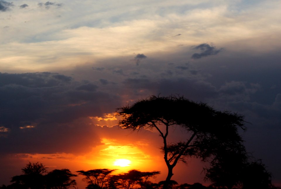 Tanzania, Sunset, Serengeti national park