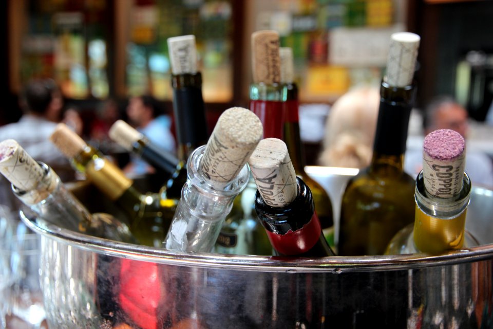 Sonoma county, United states, Party