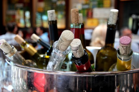 Sonoma county, United states, Party