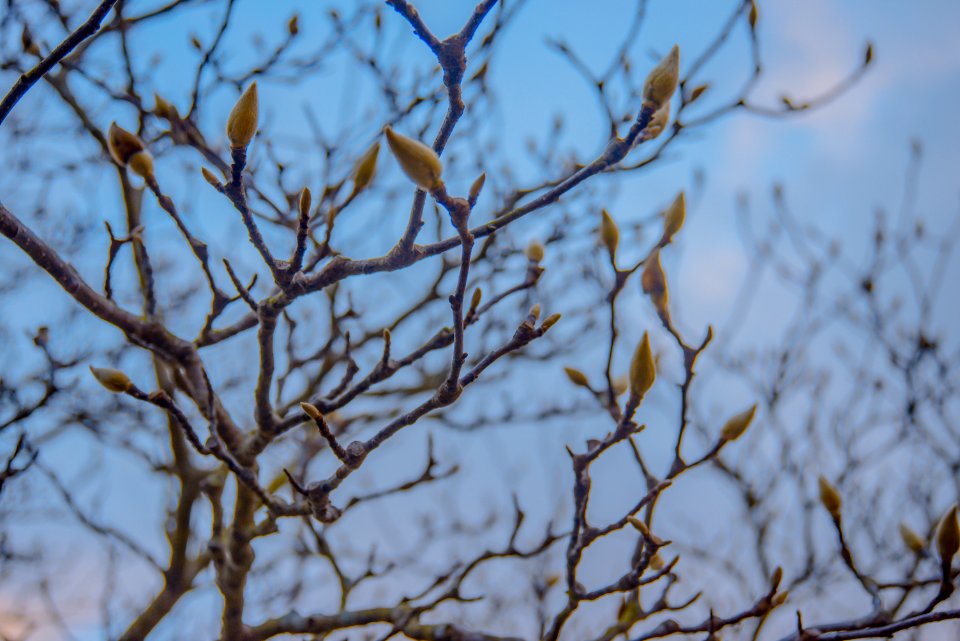 Metairie, United states, Branches