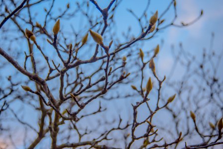 Metairie, United states, Branches