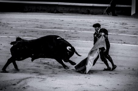 Madrid, Spain, Bull fight photo