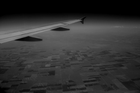 Flight, Fields, Wing