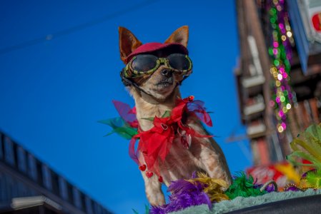 French quarter, New orleans, United states