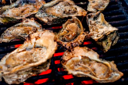 Isle, United states, Oyster