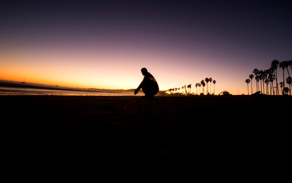 Beach, Seaside, Tree