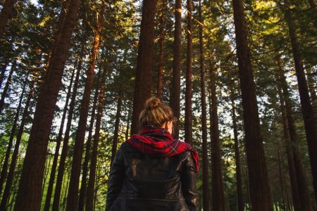woman wearing black jacket looking at trees photo