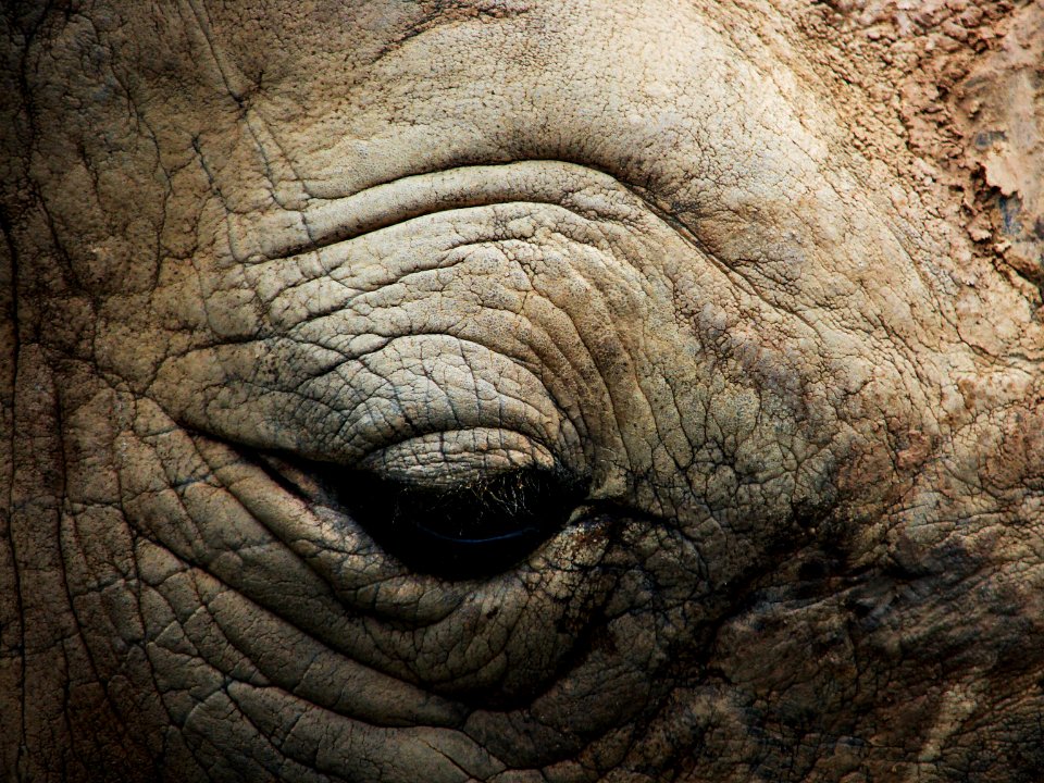 Knoxville zoo drive, Knoxville, United states