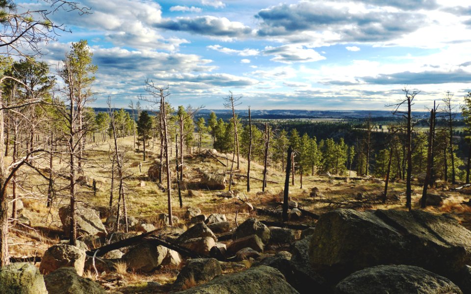 Devils tower, United states, Rocks