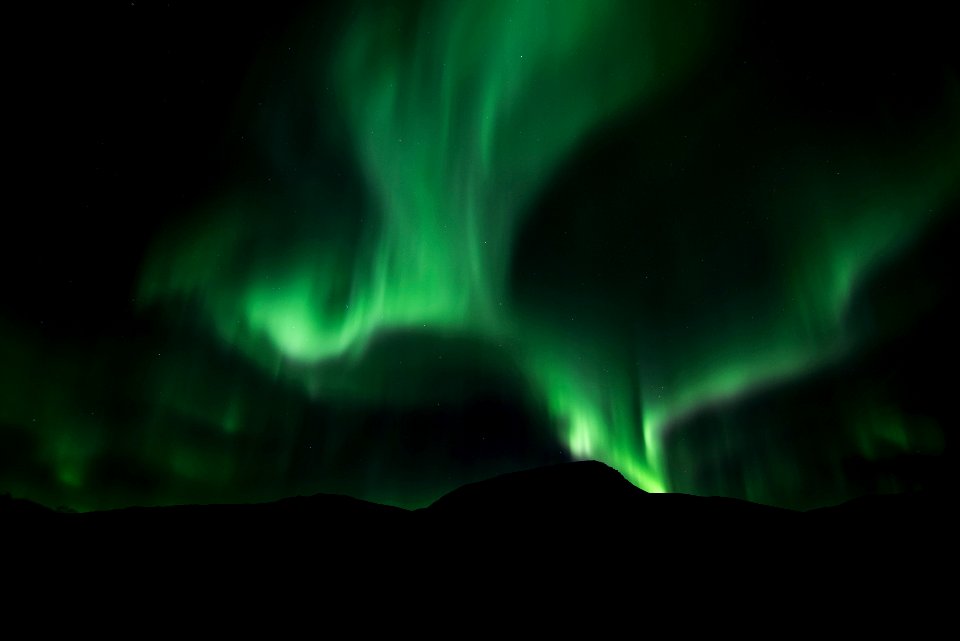 green Northern Lights at night