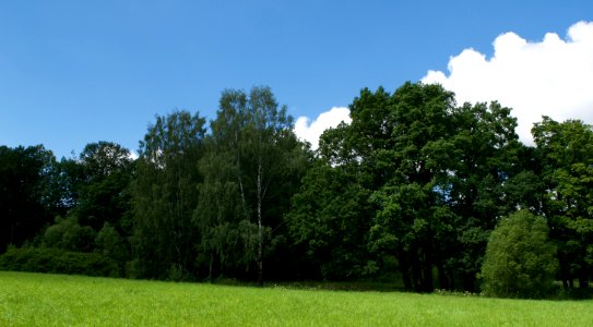 Pushkin, Russia, Nature