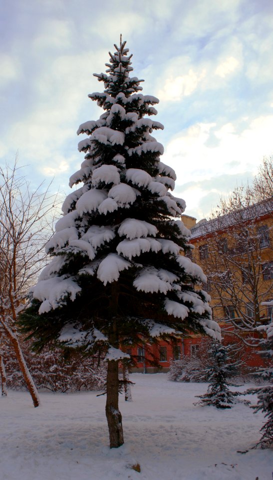 Pushkin, Russia, Outdoor