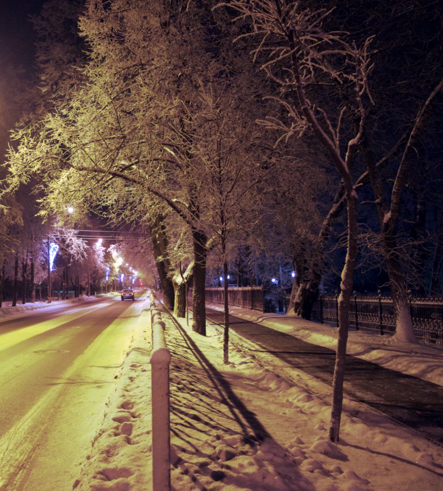 Pushkin, Russia, City