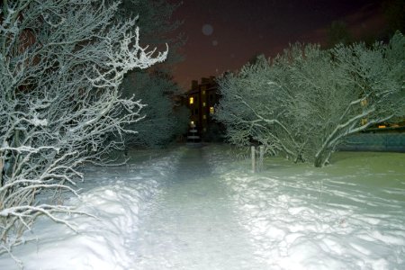 Pushkin, Russia, Outdoor