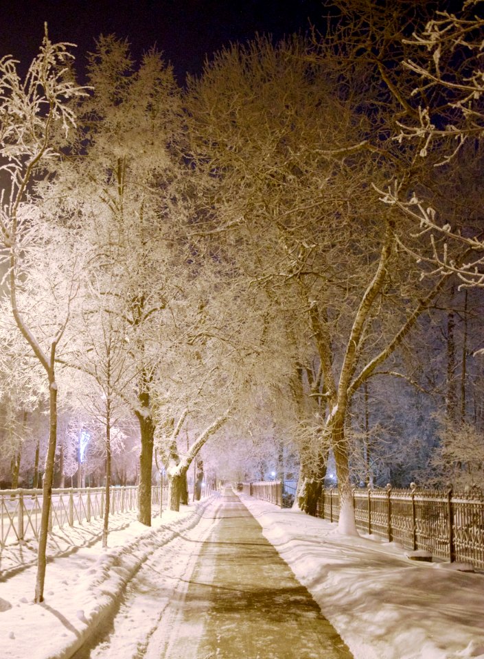 Pushkin, Russia, Winter