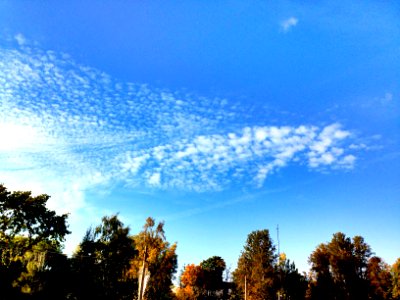 Sofiyskiy bulvar, Pushkin, Sanktpeterburg