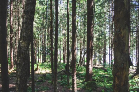 Oslo, Norway, Green