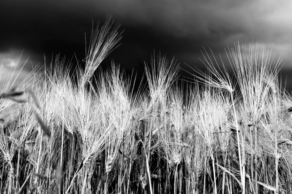 Kirtorf, Germany, Nature
