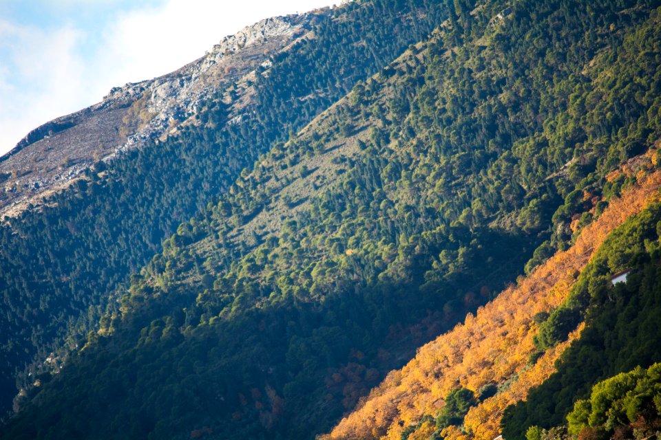 Sierra de las nieves natural park, Spain, Torrecilla