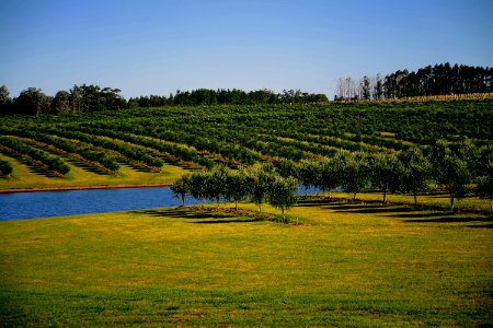 Maldonado, Uruguay, Life