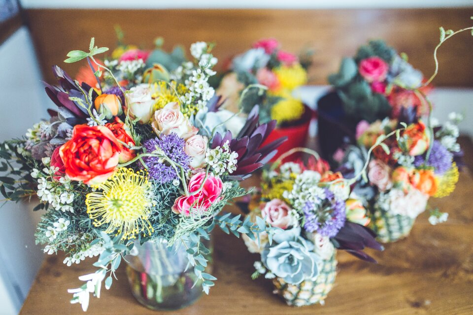 Colourful flora flowers