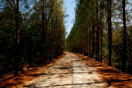 Ko yao noi, Thail