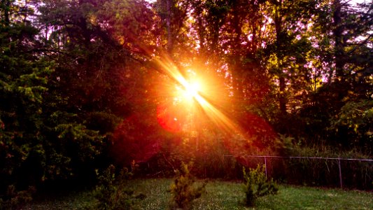 Sunny, Beautiful sunshine, Beautiful