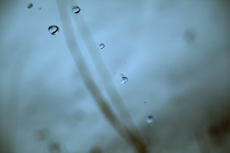 Water wallpaper, Droplet wallpaper, Water photography