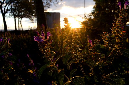 New york, United states, Sun