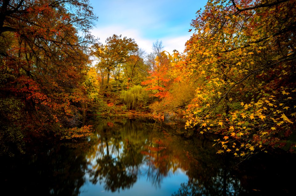 New york, United states, Autumn