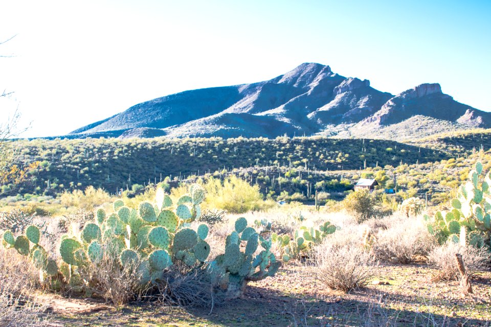 Spur cross trail, Cave creek, United states