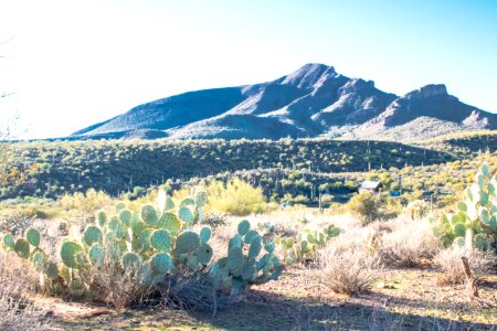 Spur cross trail, Cave creek, United states
