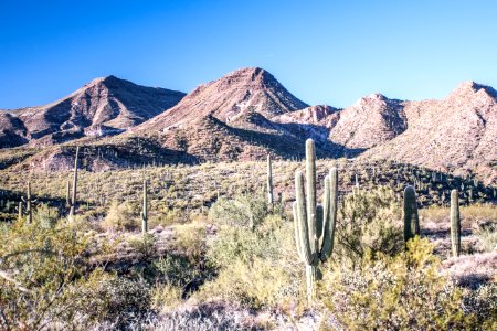 Spur cross trail, Cave creek, United states