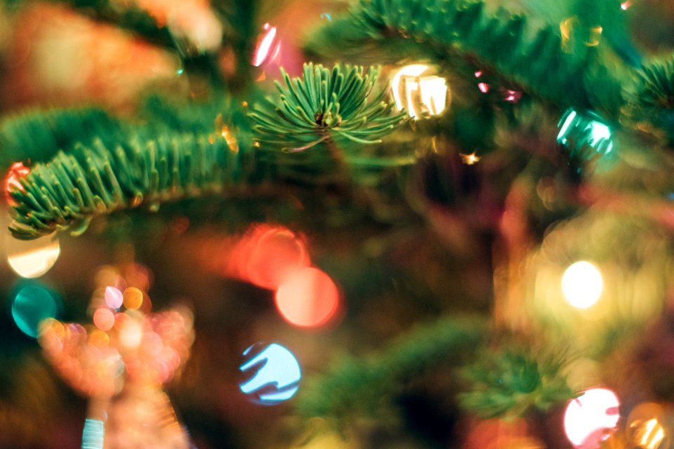 Angel, Christmas tree, Bokeh