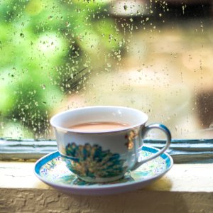 San rafael, United states, Rain