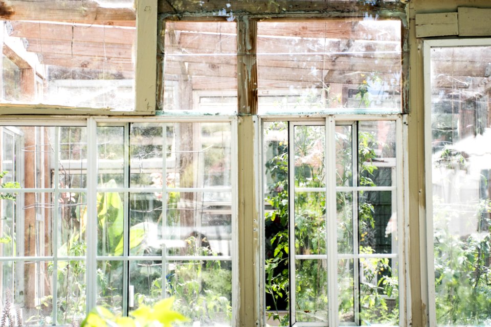 Marin county, Natural light, Summer