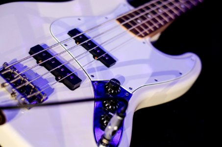 Fender, Instrument, Musician photo