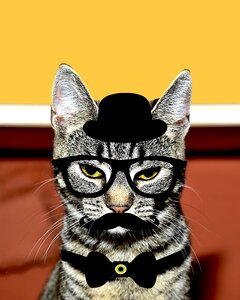 Whiskers black hat spectacles photo