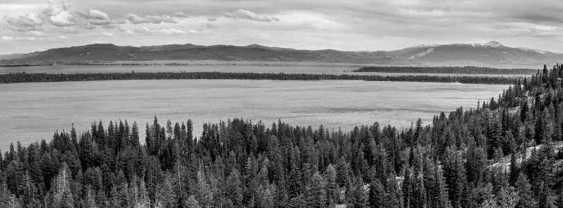 Jackson, United states, Yellowstone