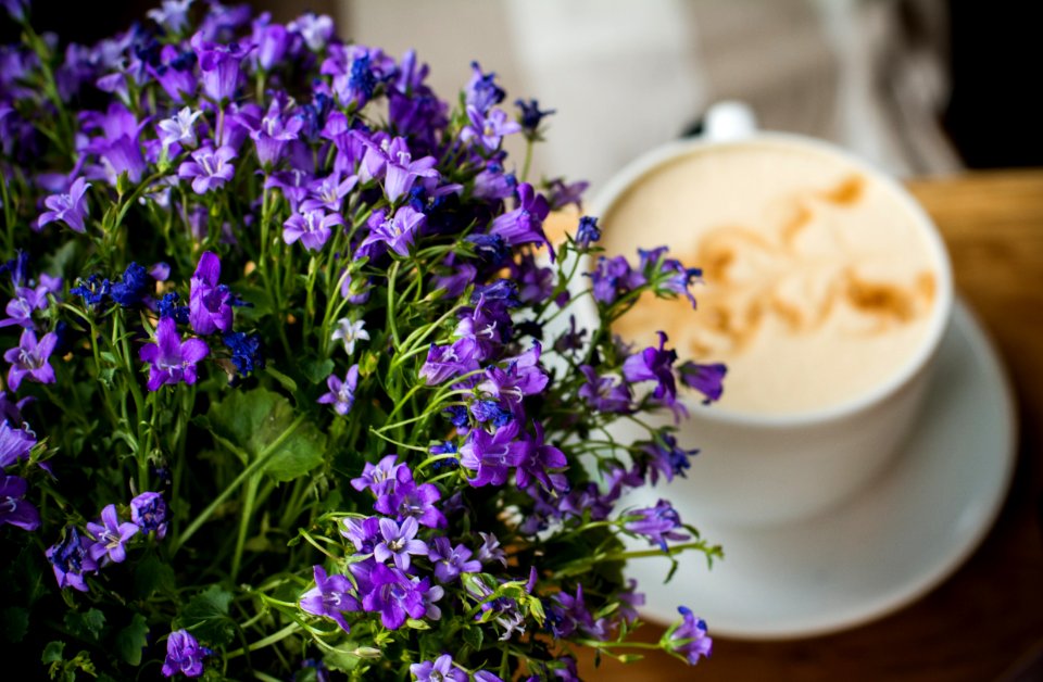Coffee, Flowers, Morning