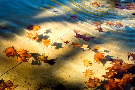 Barcelona, Spain, Autumn