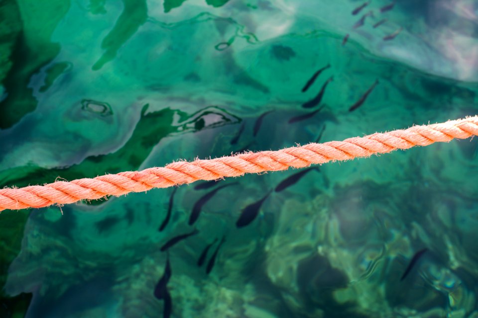 photo of orange rope beside green body of water