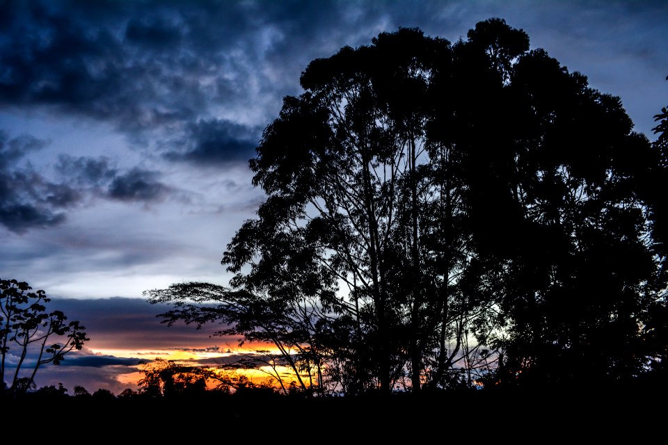 Armenia, Colombia, Atardecer